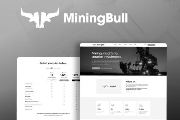 Portfolio Item